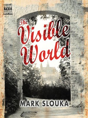 The Visible World - Audiobook